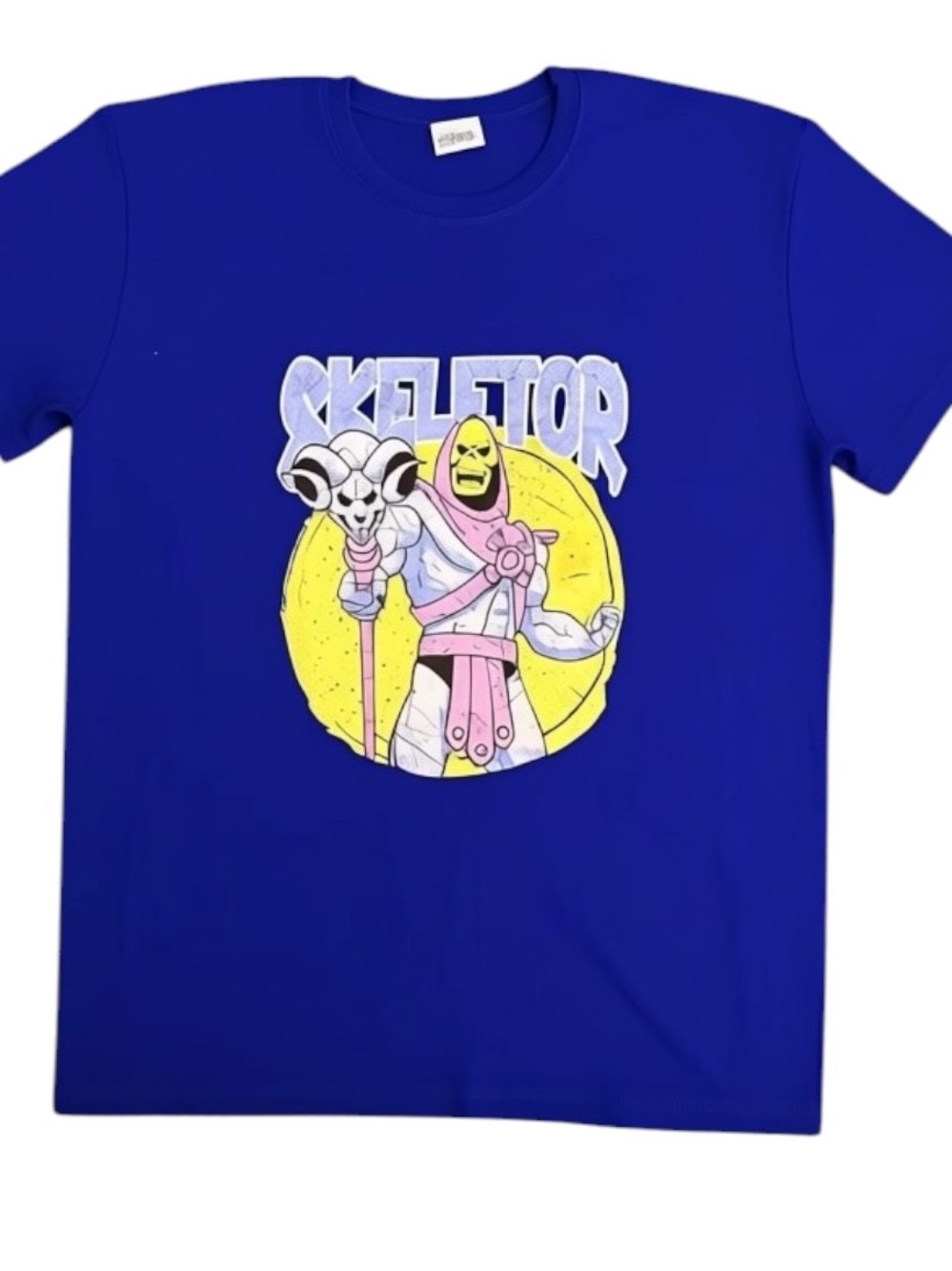 Blue Skeletor Graphic unisex T shirt